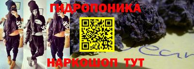 крисы Нальчик
