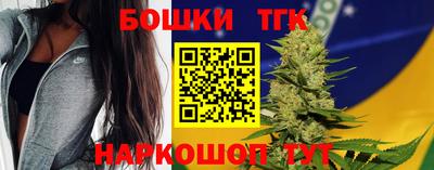 крисы Нальчик