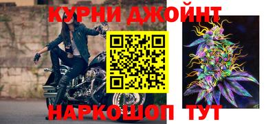 крисы Нальчик