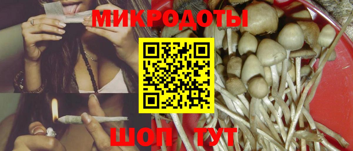 Псилоцибиновые грибы прущие грибы Углич